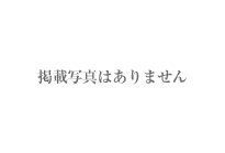 掲載写真はありません