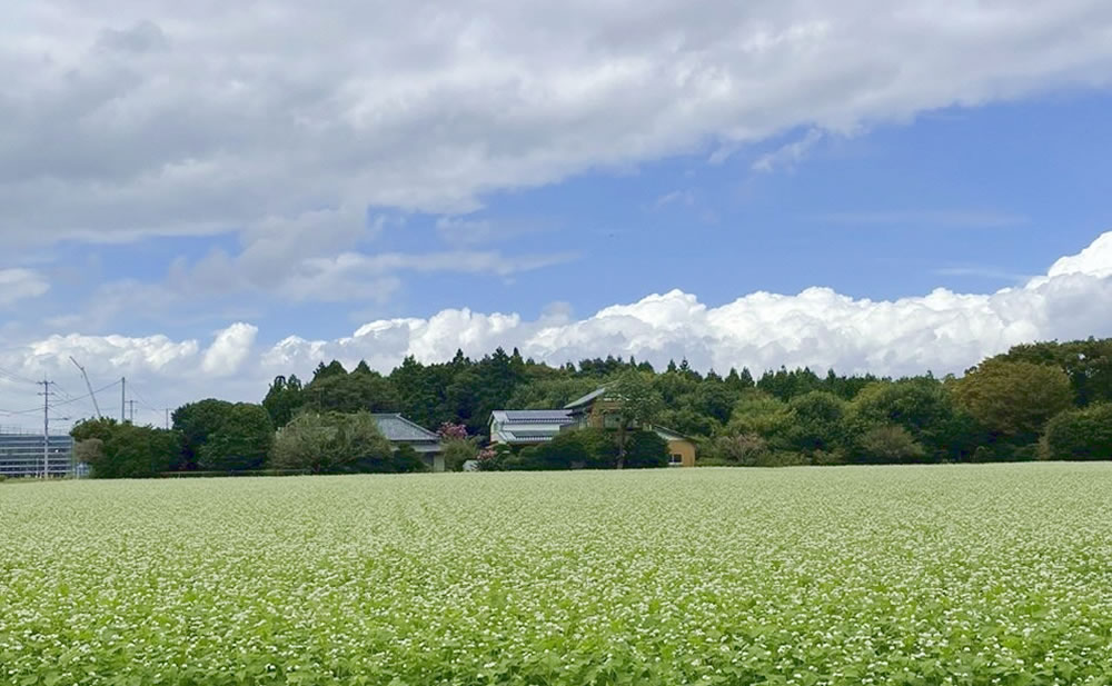 阿見町の景色